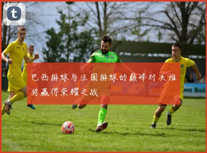 巴西排球与法国排球的巅峰对决谁将赢得荣耀之战