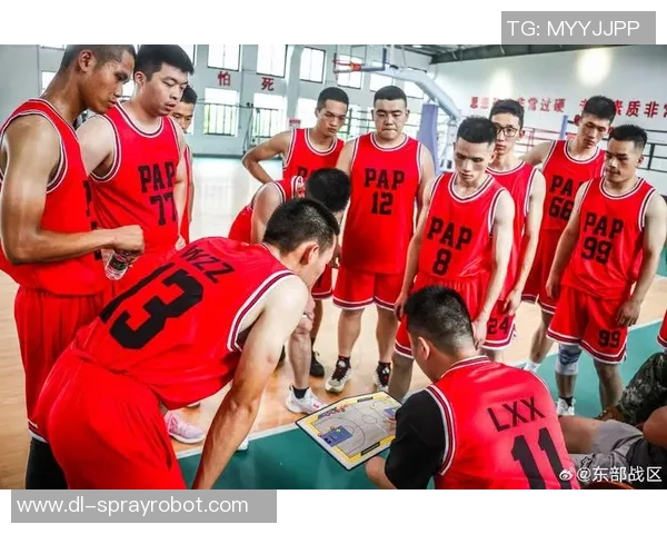 篮球飞马与自由的激情碰撞探索运动精神与团队合作的完美结合